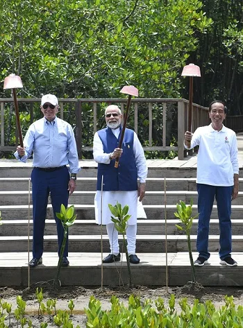 رئيس الوزراء الهندي يغرس المانغروف في بالي