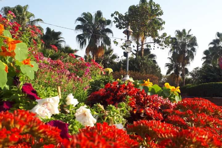 مهرجان سياحة الحدائق ينطلق في دلهي